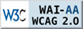 W3C WAI-AA WCAG standards